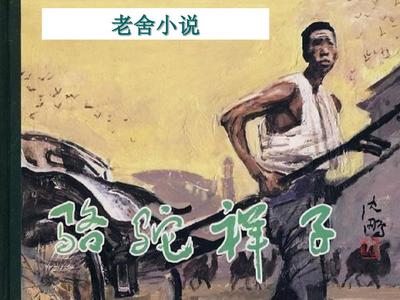 猫咪社区视频在线观看免费完整版